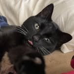 Avery Hobbs - @germphone - Instagram