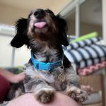 Avery Hodge - @avery_0117 - Instagram