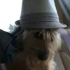 Avery_Hodges - @avery_hodges - TikTok