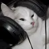 averyhodges2 - @averyhodges2 - TikTok