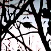 Averyhodges94 - @averyhodges94 - TikTok