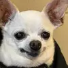 avery.hodges - @avery.hodges - TikTok