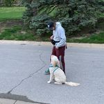 Avery Hogan - @avehogan1 - Instagram