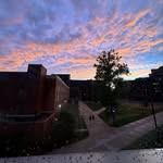 Avery - @spam.averyholbrook - Instagram