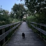 Avery - @averyholmes__ - Instagram