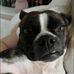 Avery Holmes - Facebook