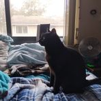 Avery Holt - Facebook