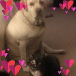 Kathy Browne Avery Hood - @khood1955 - Instagram
