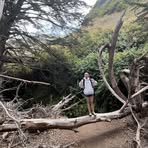 Avery Houle - Facebook