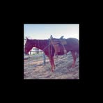 Avery Houston - Facebook