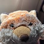 Averie Howell - Facebook