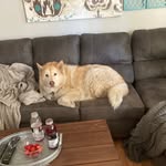 Avery Howell - @averyb.howell23 - Instagram