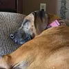 Avery Huffman - @avery.huffman1 - TikTok
