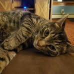 Avery Hunt - Facebook