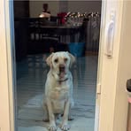 Avery Jacobson - Facebook