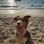 Avery Jaramillo - Facebook