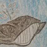 A Very Jolly Whale - @a_very_jolly_whale - Instagram