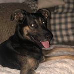 Avery Katz - Facebook