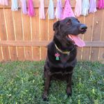 Avery Kay Brockway - @avery__kay - Instagram