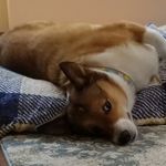 Bernice Avery Kaye - @berniceybear - Instagram