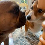 Carol Avery Kaye - @carolaverykaye - Instagram