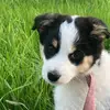 Avery Keeler - @avery.keeler - TikTok