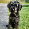 averykeeton - @averykeeton2 - TikTok