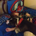 Avery - @avery_ryan_kennard - Instagram