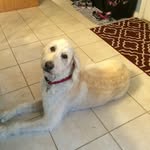Avery@kessler - @averykessler4 - Instagram