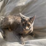 Avery Ab - Facebook