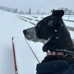 Avery knoll - @avery.knoll60 - Instagram