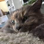 Avery Knudson - Facebook
