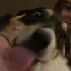 Avery Koehler - @apkoehler - TikTok