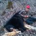 Avery Koop - Facebook