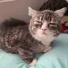 avey - @avey.kraft - TikTok