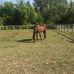 Avery Rose Chantel Labelle - Facebook