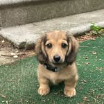 Avery Laird - @avery_e_l - Instagram