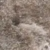 averylaster1 - @averylaster1 - TikTok