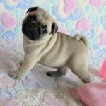 Avery Lauren Winterton - @2001avery - Instagram