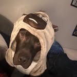 Avery Lawrence - @avery23l - Instagram