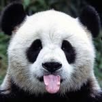 Avery Layton - @layton6483 - Instagram