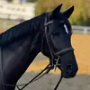A V E R Y🐴 - @averyleachman_eq - TikTok