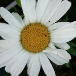 avery - @avery_leah__ - Instagram