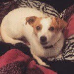 Avery Leah - @averycakes2005 - Instagram