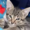 Avery Littleman - @avery.littleman - TikTok