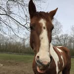 Avery Long - @avery_long111 - Instagram