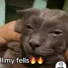 Avery Love - @avery.love23 - TikTok
