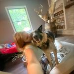 Averylyons - @averyrl22 - Instagram
