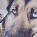 Avery Mackey - Facebook