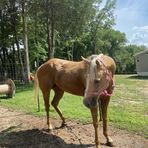 Avery Mae Sullard - Facebook